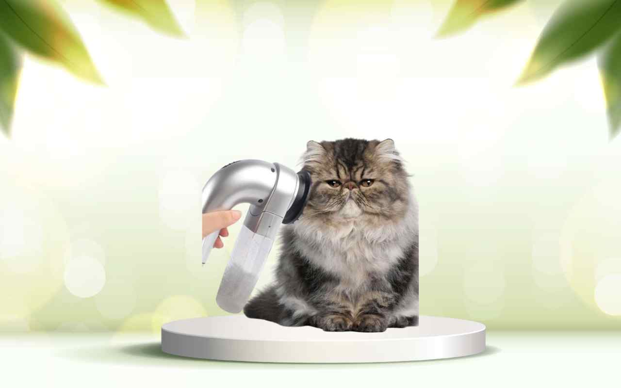 Dì addio ai peli in casa: prova SpazzolAmica per una pulizia facile e veloce